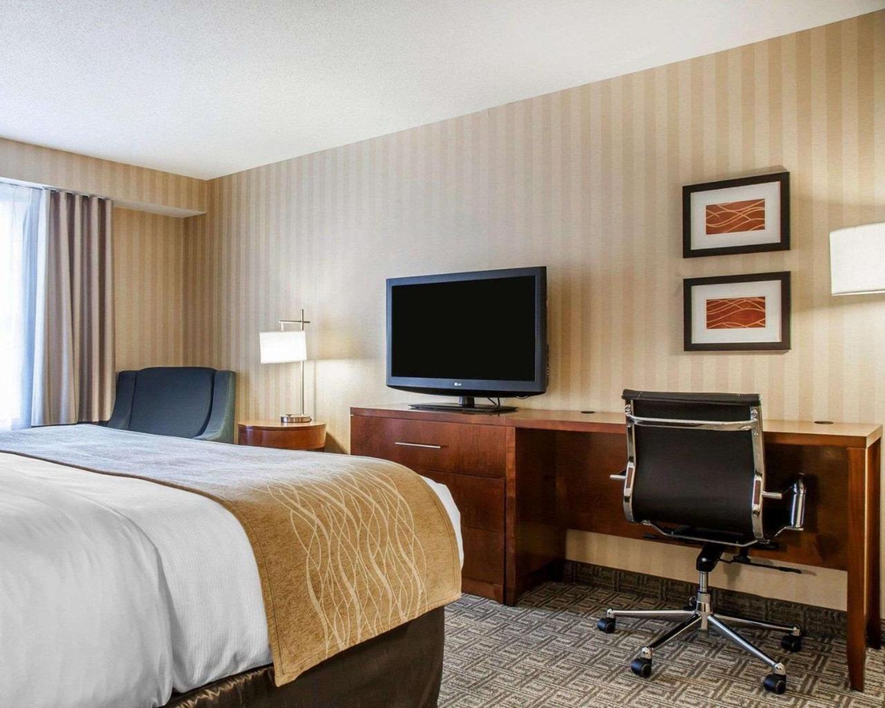 Comfort Inn&suites Sturbridge-brimfield