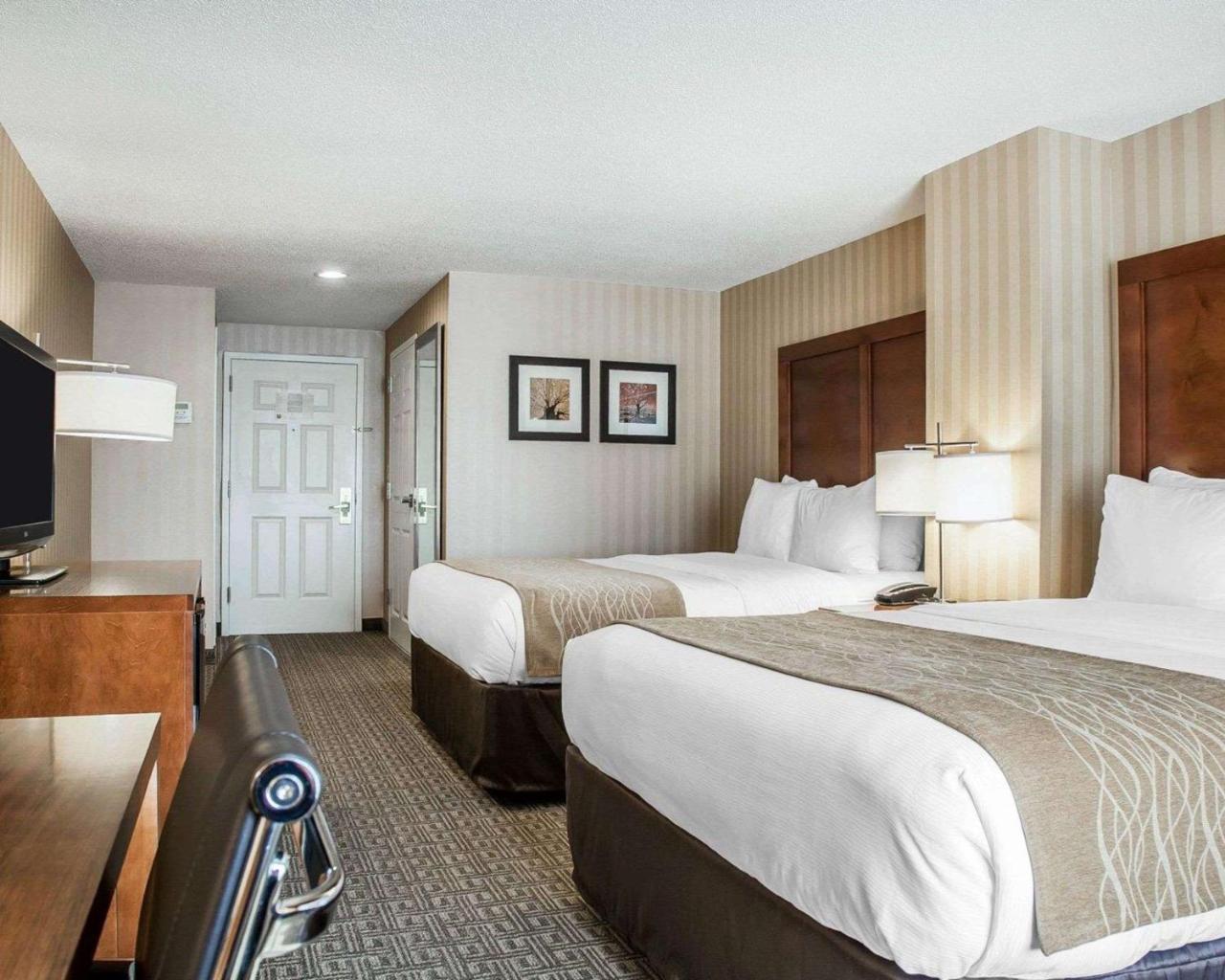 Hotel Comfort Inn&suites Sturbridge-brimfield