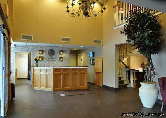 Comfort & Sturbridge-brimfield Hotel 3*